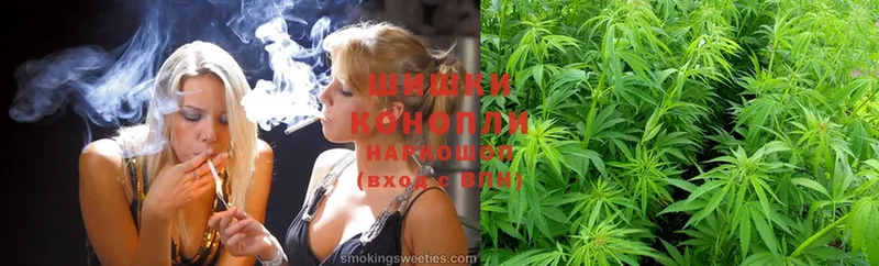 Конопля OG Kush  цена наркотик  Малая Вишера 